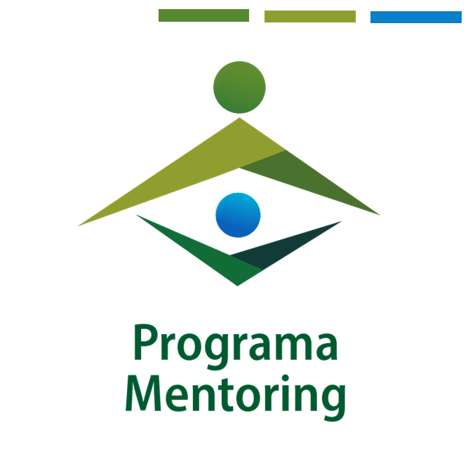 Programa Mentoring 2020