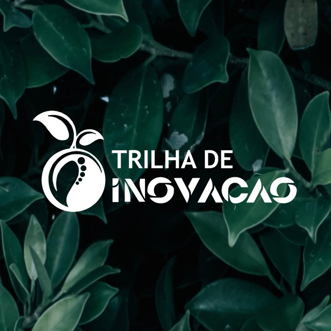 Programa Trilha de Inovação - Módulo 1